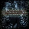 shadowpath_new-album